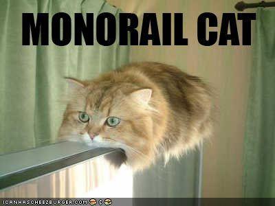 cats funny. #lol middot; #cat