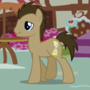 Doctor Whooves Avatar
