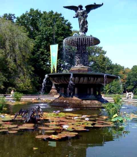 central park ny. fountain in central park nyc.