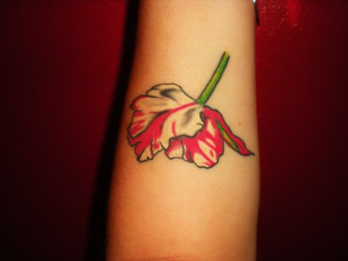 “ruffled tulip” aka fucked up New Moon tattoo that someone was too 