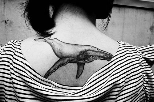 his huge Killer Whale tattoo on. Haida Indian Killer Whale Tshirt by