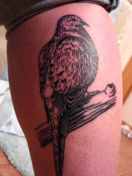 Done at WingNut Tattoo in Minnesota.