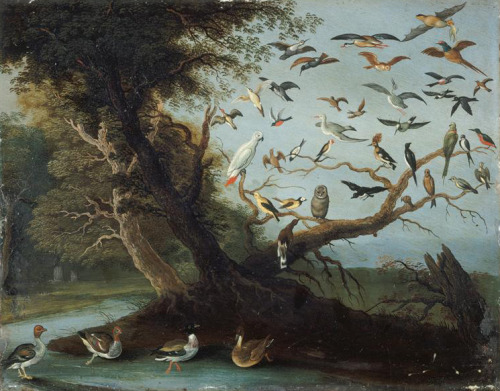 Jan Van Kessel I (1626-1679)
Bird Tree, 17th century