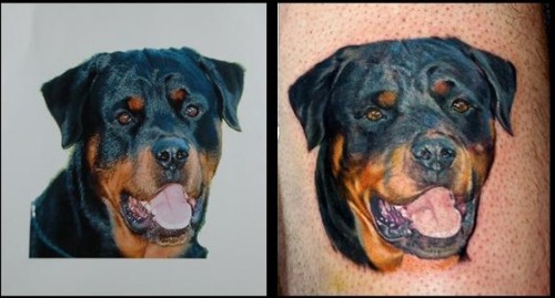 Sal tino Electric Quill Tattoo Boulder Co Tagged dogdog tattootattoosal 