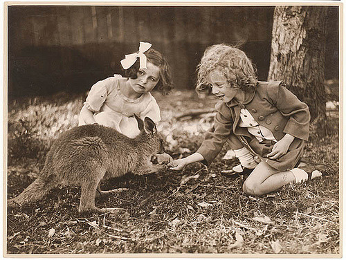 Kangaroo & girls, ca. 1925-ca. 1945 / by Sam Hood (by State Library of New South Wales collection)