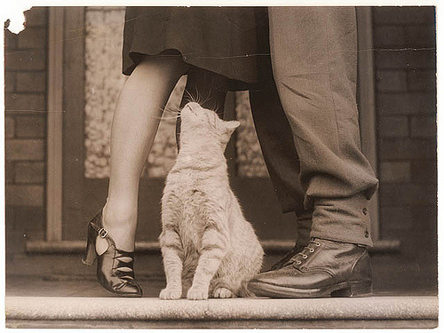 Soldier’s goodbye & Bobbie the cat, ca. 1939-ca. 1945 / by Sam Hood (by State Library of New South Wales collection)