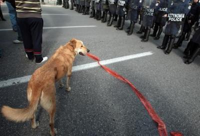 (14 feb 2009) A Valentine’s gift. Beware of greek strays,
 bearing police -do not cross- barriers
