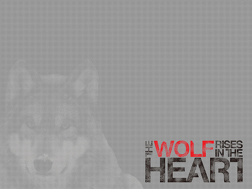 wolf desktop wallpaper. Desktop Wallpaper, 1600x1200