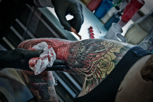 Posted August 8, 2010 at 6:00pm in arm sleeve tattoo procedure | 98 notes