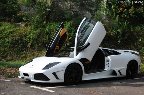Another white Lamborghini Murcielago