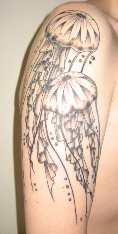 my new tattoo XD theinkspot Tentacle Garden's jellyfish tattoo by Matt