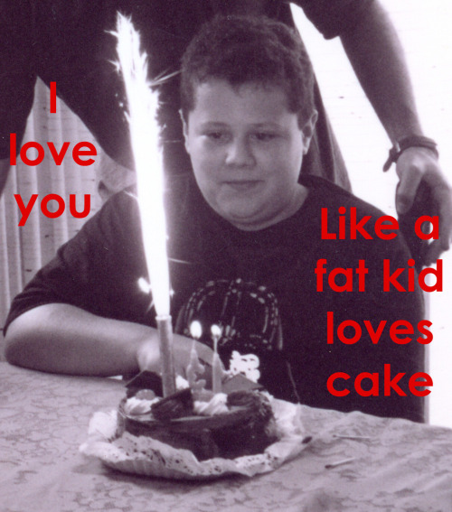 I Love You Like A Fat Kid Loves Cake Lyrics. Any other similar sayings like