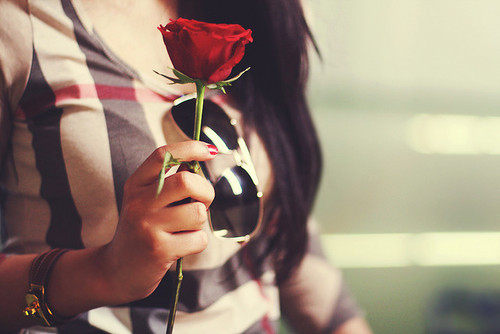 dolcemoivita:

i love roses (:
