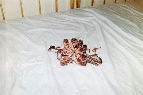 nclpddn:

Juergen Teller
Octopussy