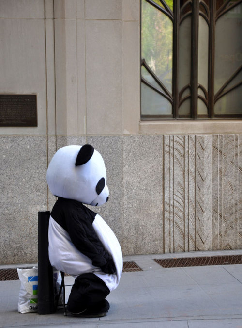 Tough day at work, huh, sad panda? (BB Flickr Pool) - Boing Boing