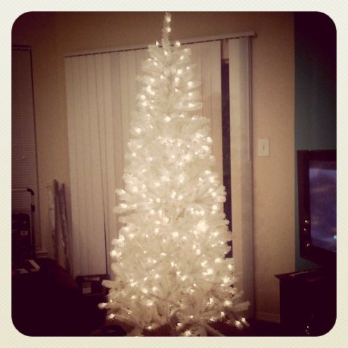 Can&#8217;t believe I&#8217;m breaking my no Christmas before thanksgiving rule&#8230; (Taken with instagram)