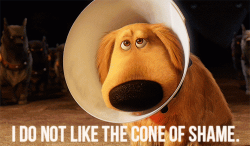 cone of shame. like the cone of shame…