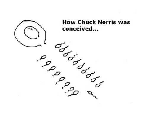 funny chuck norris facts. Tagged as: Chuck Norris, facts