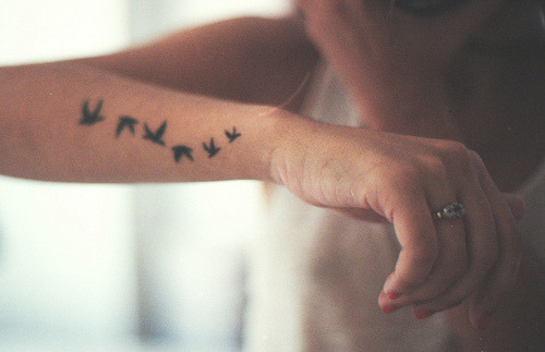 i love bird tattoo's like this, but i wouldnt have it on my arm
