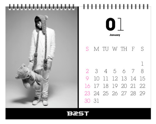 2011 Calendar Diary. 2011 CALENDAR (Desktop