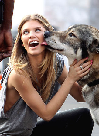 vitoriaewbank:

Nunca chame um homem de cachorro. Cachorro é fiel, e corre em seus braços quando você chega em casa.
