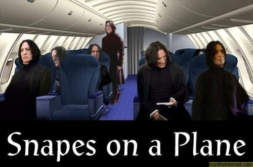 snapes on plane. #snapes on a plane #snape