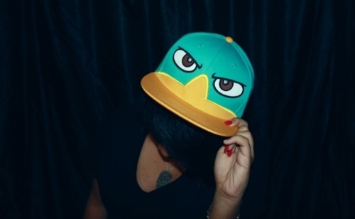 Perry The Platypus Phineas And Ferb Wallpaper. ferb find Perry+platypus+