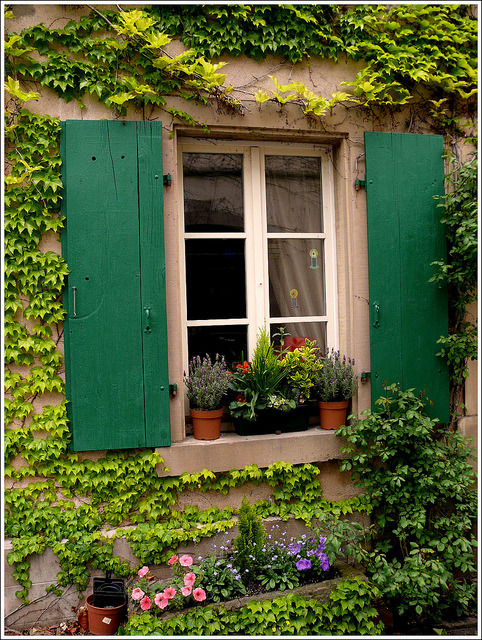 bonparisien:

window pane, Riquewihr, Haut-Rhin France (by Mo Westein)
