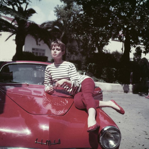Brigitte Bardot Posted 1 year ago with 12 notes brigitte bardot 1950s 