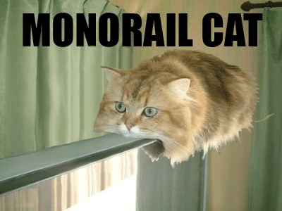 monorail cat gif. Monorail cat go Z00m