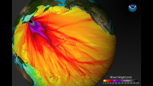 This National Oceanic and Atmospheric Administration (NOAA) image released on March 11, 2011 shows a model run from the Center for Tsunami Research at the NOAA Pacific Marine Environmental Laboratory showing the expected wave heights of the tsunami as it travels across the Pacific basin.    (via)