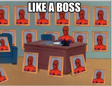 Spiderman Meme on Spiderman Meme Like A Boss