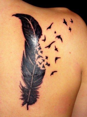 bird tattoos. Feather and Bird Tattoo by ~