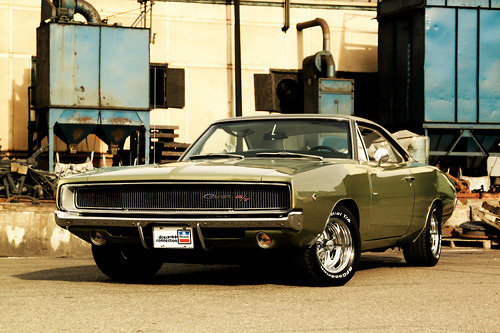 Starring'68 Dodge Charger R T by 1968 Dodge Charger R T 