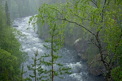 

A river is only the surrendered heart of a million tiny beads of rain.  A river yearns and is yearned for.  A river reaches out and is reached out for.  A river desires, and is desired in its turn. 
