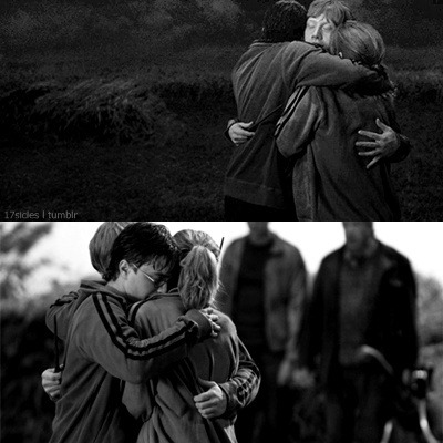 
Harry: Tenho pensado em uma coisa que o Dumbledore me disse.
Hermione: O que é?
Harry: Apesar de termos uma batalha pela frente, temos uma coisa que Voldemort não tem.
Rony: Temos?
Harry: Temos, uma coisa pela qual vale a pena lutar.
Harry Potter e a Ordem da Fenix. 
