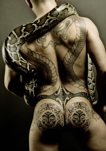 vxv:

Snake…


Ask me anything   Submit or join my Social network
