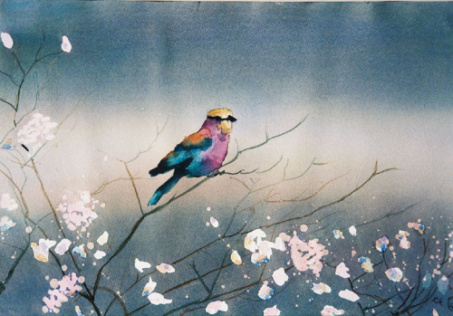 watercolor paintings of birds. (via Watercolor paintings of