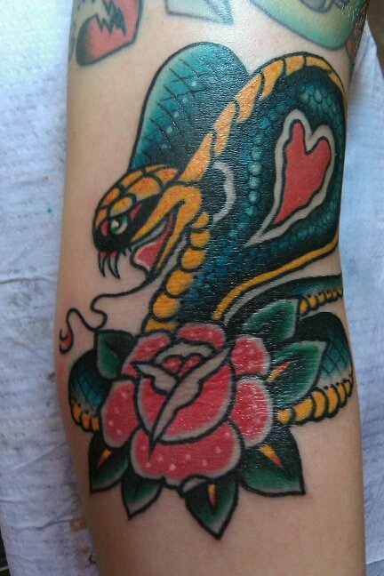 Cobra Cutie Tattoo By Paul Nycz