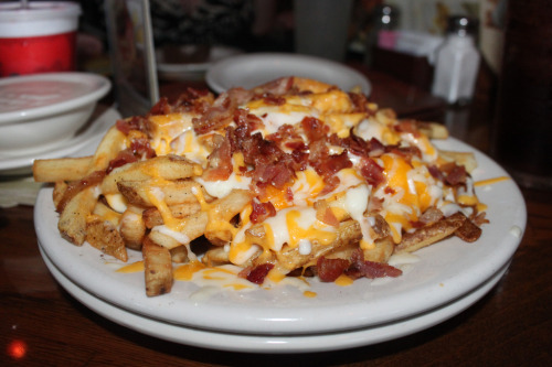 cheese fries outback. cheese fries and sauce!