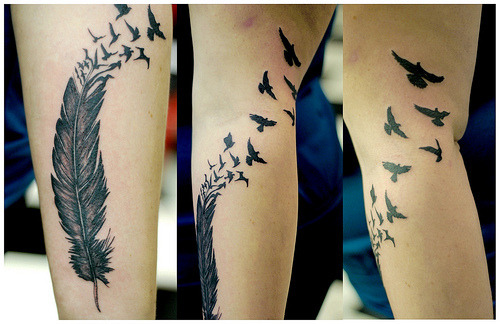tattoo feather. tattoo. feather tattoo.