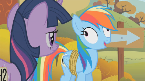 my little pony friendship is magic. My Little Pony: Friendship is
