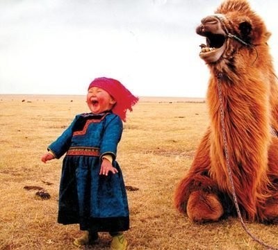 It was beautiful. Gobi desert in Mongolia, a little girl and a camel laughing at us: for us: with us. 