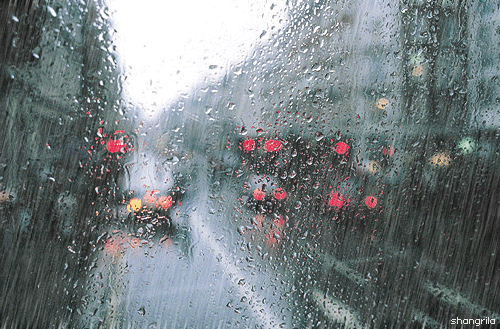 



 



Dias chuvosos são bons quando você se sente triste, pois você não é o único a chorar, o céu está chorando com você.
