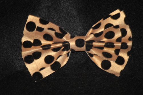 Gold &amp; Black Balled Pattern Fabric Bowtie Design and Created by Jared Jonté Jacobs
Photography by Jared Jonté Jacobs