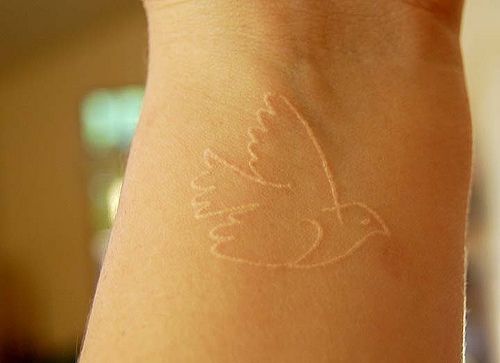 Tags tattoos white ink bird
