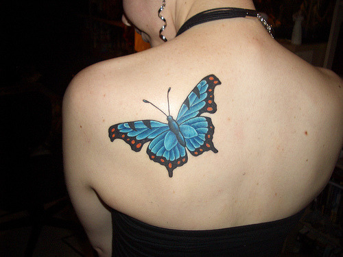 Tagged beauty butterfly tattoo tattoo tattoo design 
