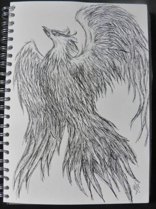 phoenix fire bird drawing Tumblr