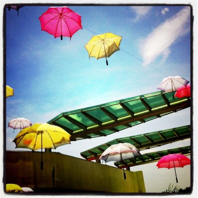  : umbrella taken with instagram