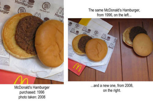 ieatirunilift:

fashionhealthy:

vainreflections:

simply-multifaceted:

healthlifelight:

Yeah, fast food burgers &amp; fries don’t decompose like normal one’s do. And nothing to preserve it, was added. So what exactly are you eating when you buy a McDonald’s burger or a Burger King one…? Imagine what this does to your stomach.

I haven’t had McD’s for 2 years, and I’ll never will. O.o 

Fast food is disgusting.

WOW… Thats just awful.

Yet people still eat these!!
